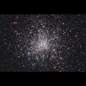 Meet your Posher, Lily